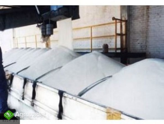 Biały rafinowany cukier buraczany ICUMSA 45 - zdjęcie 1