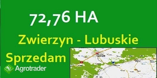 72,76 HA gmina Zwierzyn - Lubuskie Sprzedam