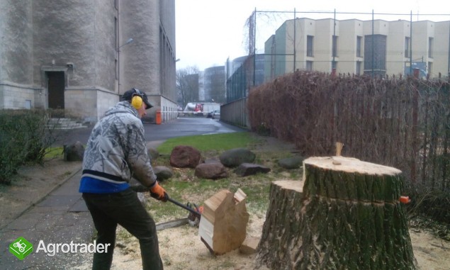 Wycinka drzew, wyburzanie budynków, przygotowanie terenu pod budowę Fv - zdjęcie 2