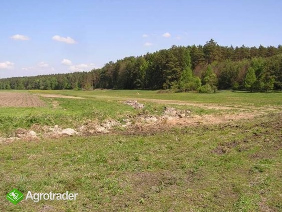 Oddam w dzierżawę  grunty rolne, Tarnówka, powiat Złotów, 29 ha - zdjęcie 5