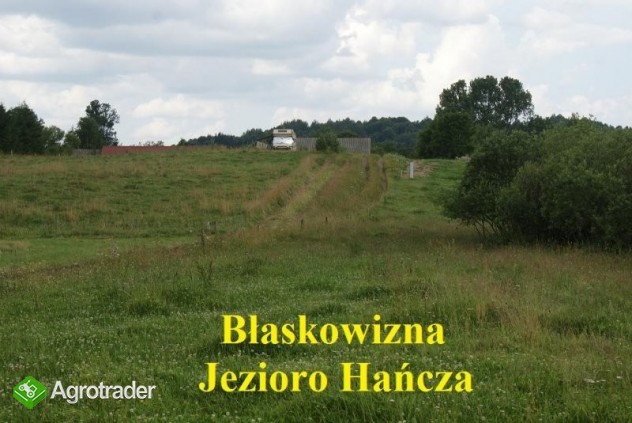 (71) Działki w miejscowości Błaskowizna