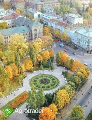 Ukraina,Kijow.Odstapie prosperujacy PubRestauracje