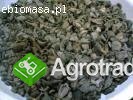 Biomasa Agro (PKS)