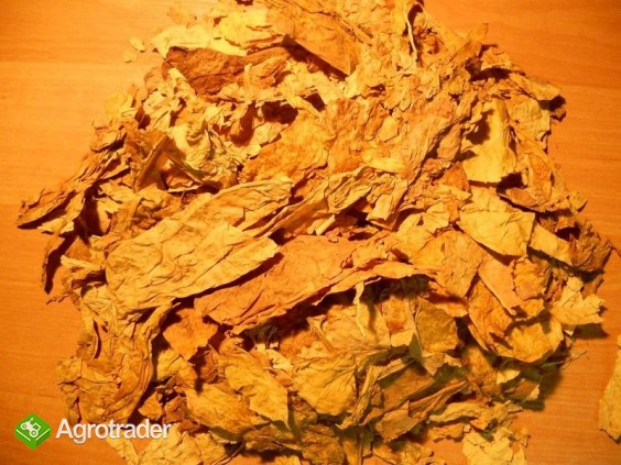 STRIPS BUŁGARSKI HURT SOSY AROMAT