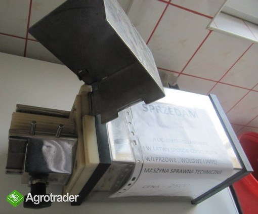 Jeliciarko-Szlamiarka