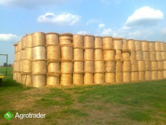 Słoma w belach 600 sztuk
