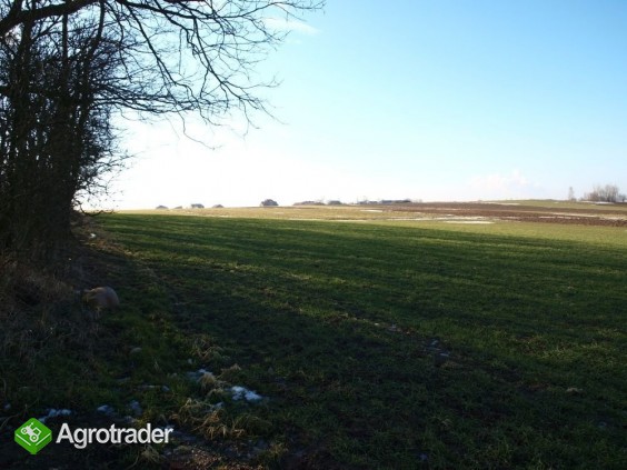 Do sprzedaży grunt rolny 4,17ha gm. Wola Krzysztop - zdjęcie 1