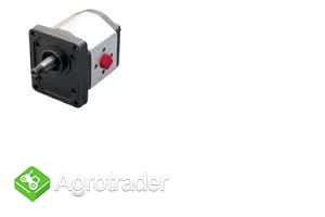 **Pompa Salami 2PB 11.3; 1PB2; 1PB1.3** - zdjęcie 1