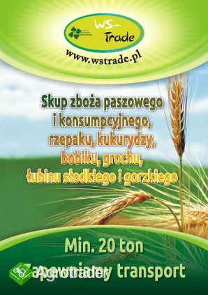kupię żyto- skup żyta