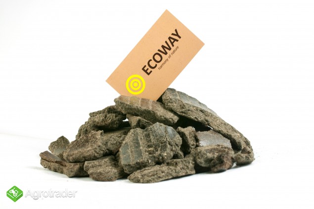 Makuch słonecznikowy