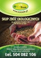 kupię pszenicę ekologiczną- skup pszenicy ekologicznej 