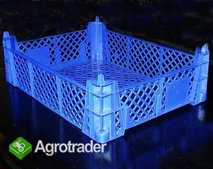 Plastic box of mushrooms production - zdjęcie 1