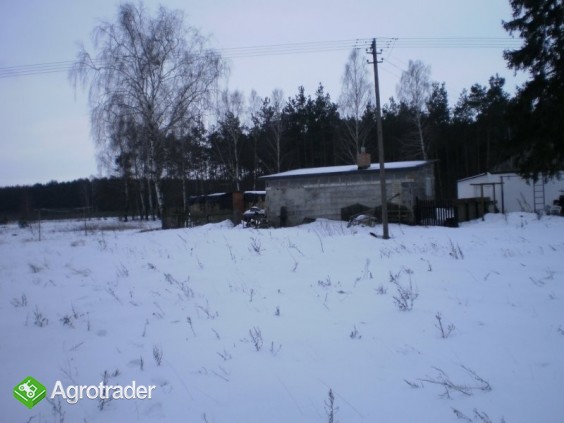 Gospodarstwo rolne z budynkami