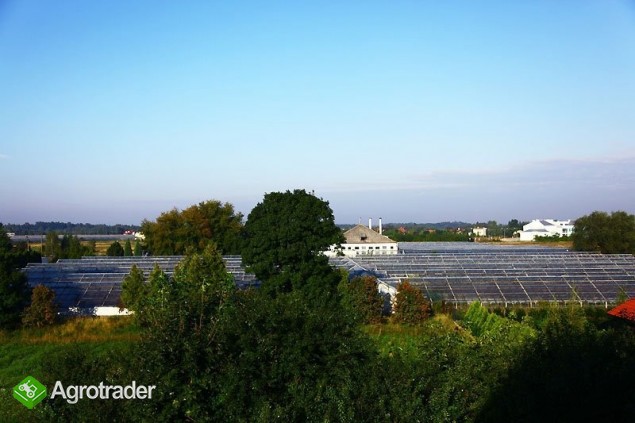 gospodarstwo ogrodnicze, możliwość budowy osiedla