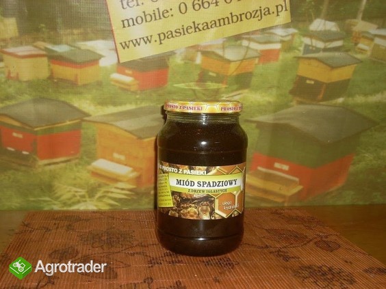 Miód spadziowy , i inne miody sprzedaż