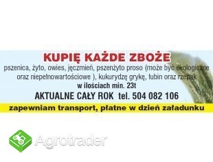 kupie jeczmień ekologiczny