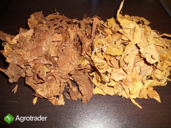 WĘDZONE, FERMENTACJA , BUŁGARSKA JAKOŚĆ