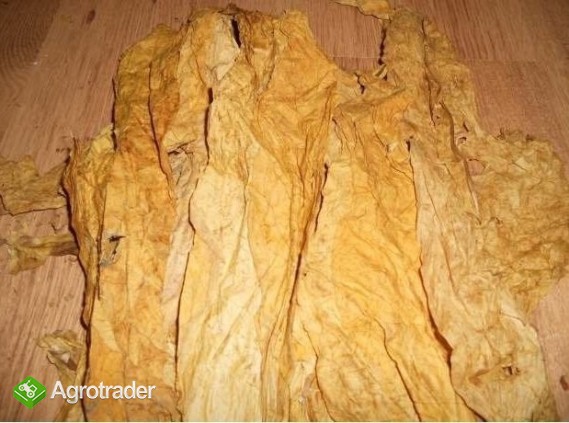 -----HURT-----1000KG----- TRANSPORT